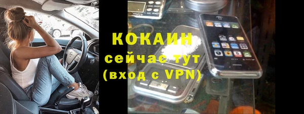 молекула духа Мегион