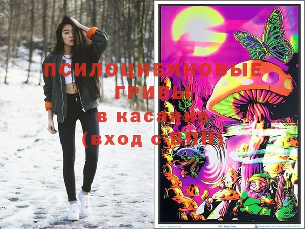 Альфа ПВП Медногорск