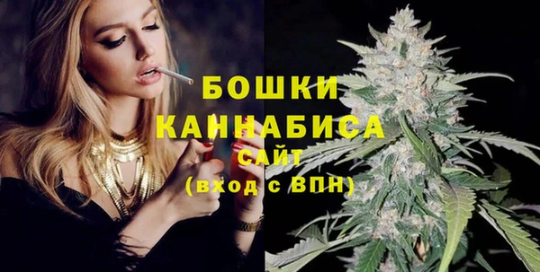 молекула духа Мегион