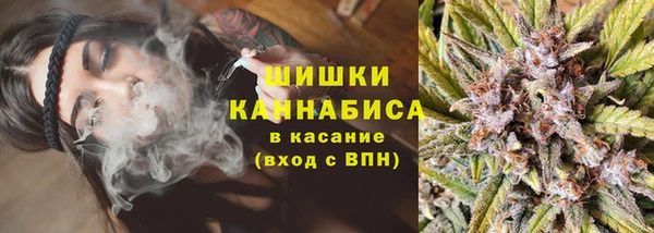 Альфа ПВП Медногорск