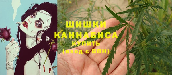 молекула духа Мегион