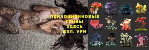 молекула духа Мегион
