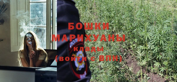 Альфа ПВП Медногорск