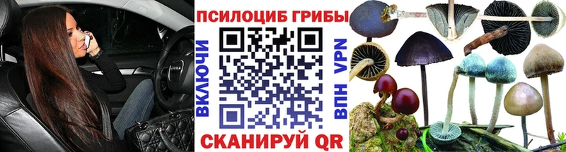 MEGA ссылка  купить наркотики цена  Астрахань  Псилоцибиновые грибы ЛСД 