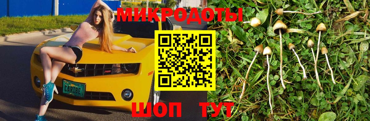 Астрахань  Псилоцибиновые грибы Cubensis  Вход с VPN 